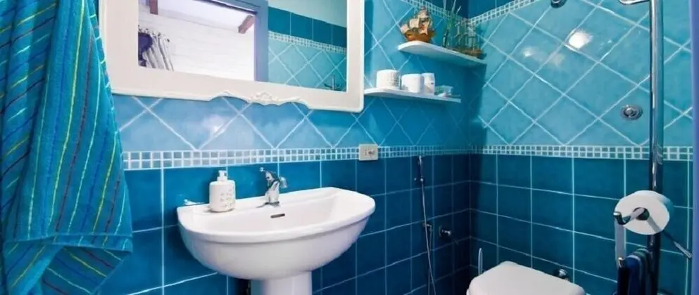 Deluxe Tek Büyük veya İki Ayrı Yataklı Oda, Havuz Kullanımı