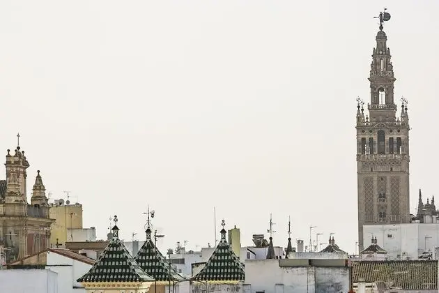 Basic Stüdyo
