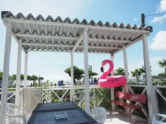 Deluxe Apart Daire, 2 Yatak Odası, Okyanus Manzaralı, Denize Sıfır