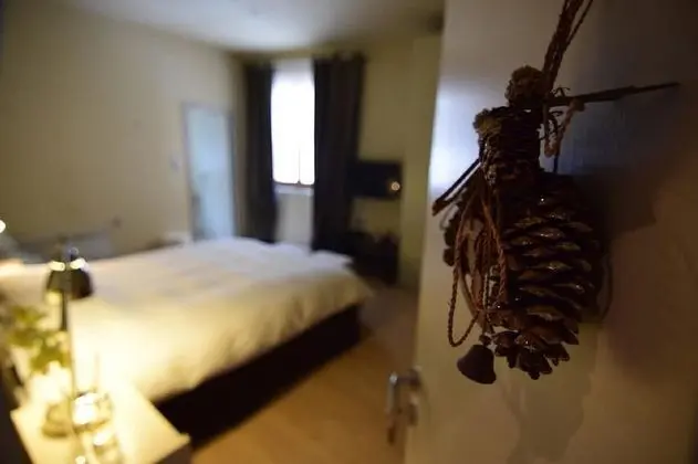 Comfort Stüdyo, 1 Yatak Odası