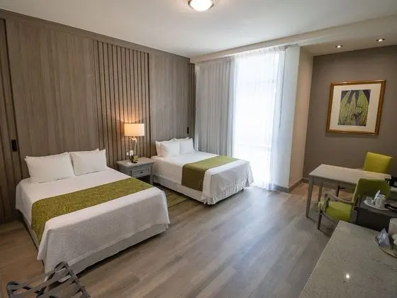 Executive Tek Büyük Yataklı Oda