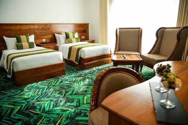 Executive suite 2 bed room (Apartment)