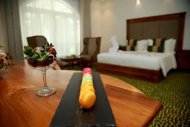 Superior 1 bed room