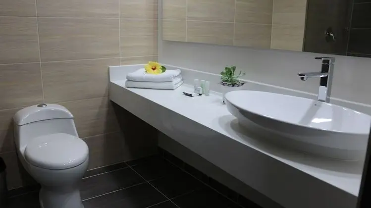 Deluxe İki Ayrı Yataklı Oda, Birden Çok Yatak, Şehir Manzaralı