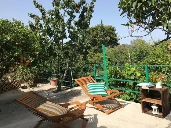 Ev, 1 Yatak Odası, Şömine