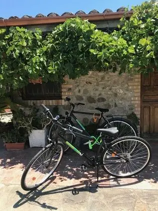 Ev, 1 Yatak Odası, Şömine