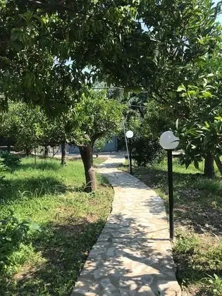 Ev, 1 Yatak Odası, Şömine