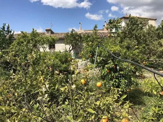 Ev, 1 Yatak Odası, Şömine