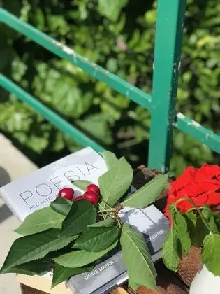 Ev, 1 Yatak Odası, Şömine