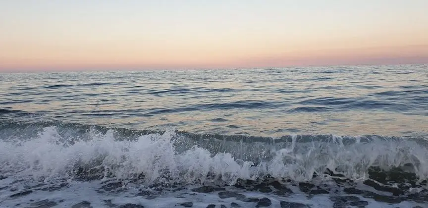 Ev, 1 Yatak Odası, Şömine