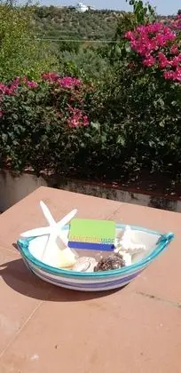 Ev, 1 Yatak Odası, Şömine