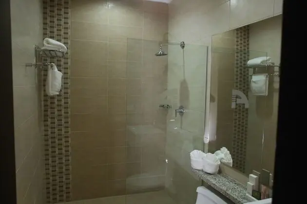 Junior Süit, 1 En Büyük (King) Boy Yatak, Banyolu/Duşlu