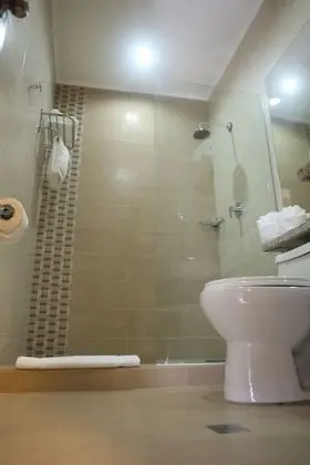 Junior Süit, 1 En Büyük (King) Boy Yatak, Banyolu/Duşlu