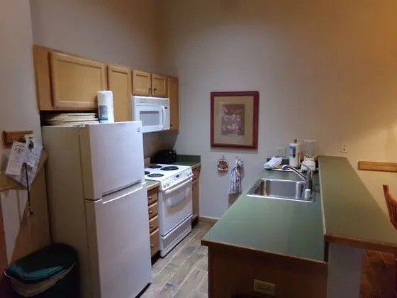 Daire, 1 Büyük (Queen) Boy Yatak ve Çekyat (Arapahoe Lodge 1 Bed 1 Bath ALJP)