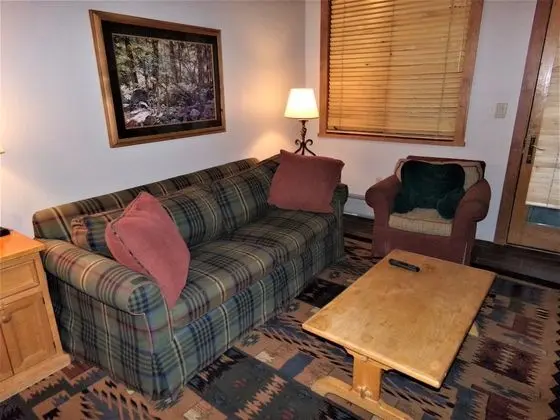 Daire, 1 Büyük (Queen) Boy Yatak ve Çekyat (Arapahoe Lodge 1 Bed 1 Bath ALJP)