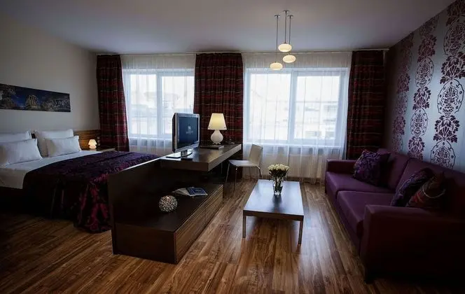 Business Double Room Single Occupancy