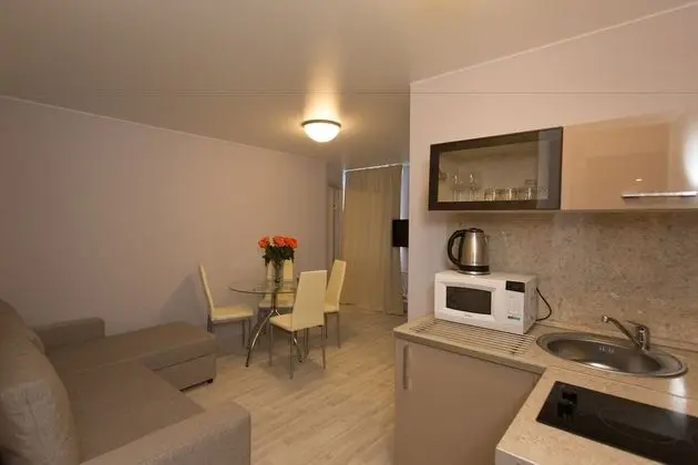 Apart Daire, 1 Yatak Odası