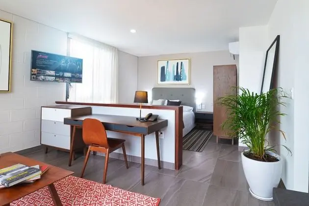 Çatı Katı (Loft)