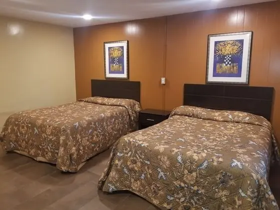Basic Tek Büyük Yataklı Oda, 2 Büyük (Queen) Boy Yatak, Sigara İçilebilir