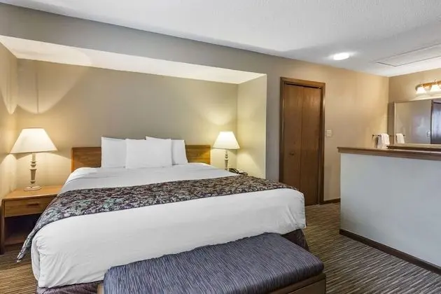 Basic Çatı Katı Süiti (Penthouse) (Murphy Bed)