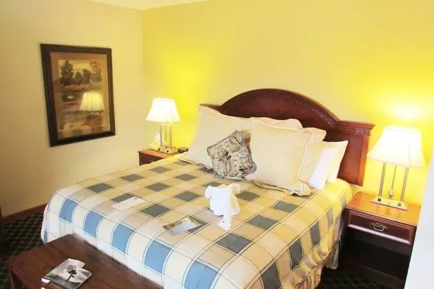 Junior Suite (No Pets)
