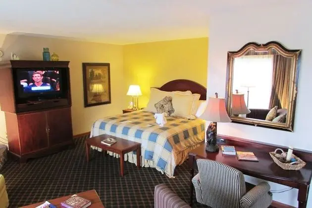 Junior Suite (No Pets)