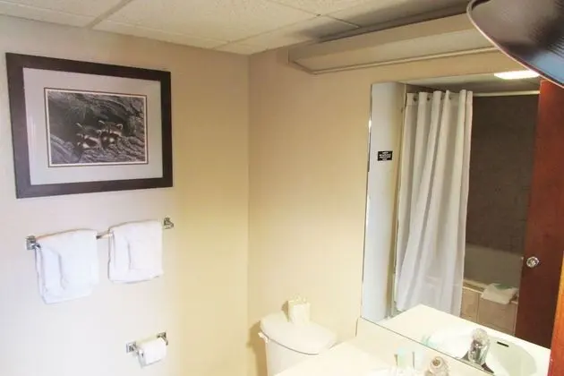 Junior Suite (No Pets)