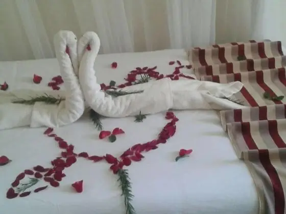 Standard Tek Büyük Yataklı Oda, Sigara İçilmez