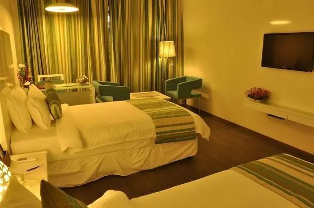 Deluxe Tek Büyük Yataklı Oda, 1 Yatak Odası, Sigara İçilebilir, Şehir Manzaralı