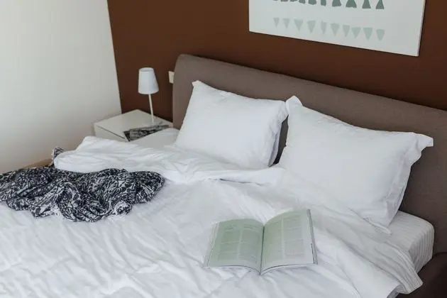 Deluxe Villa, 3 Yatak Odası