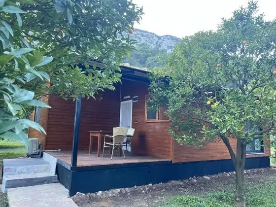 Villa, Bahçe Manzaralı, Özel Bahçeli