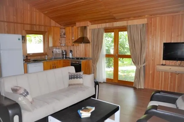 Villa, Bahçe Manzaralı, Özel Bahçeli