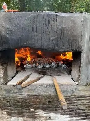Kulübe, Birden Çok Yatak