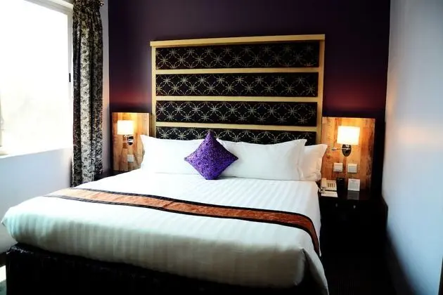 Single Suite