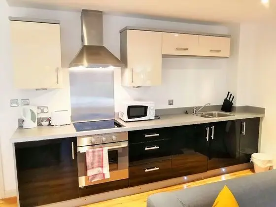 Deluxe Tek Büyük Yataklı Oda (Studio)