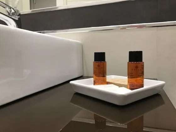 Business Tek Büyük veya İki Ayrı Yataklı Oda, Balkon, Bahçe Manzaralı