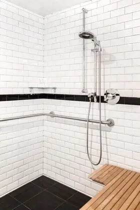 Oda (Double Double, Roll-In Shower)