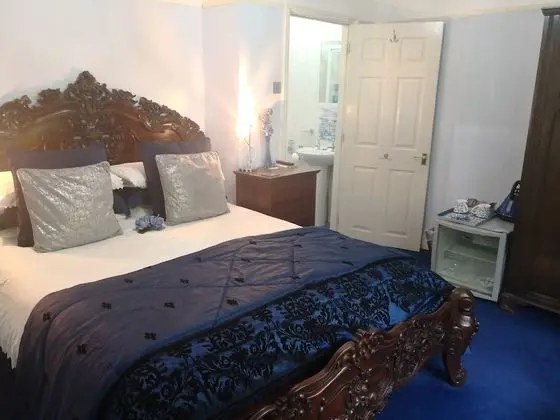 Tek Büyük Yataklı Oda, Banyolu/Duşlu (Blue Room)