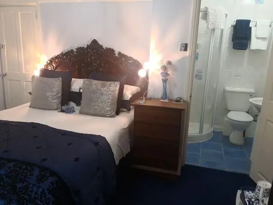 Tek Büyük Yataklı Oda, Banyolu/Duşlu (Blue Room)