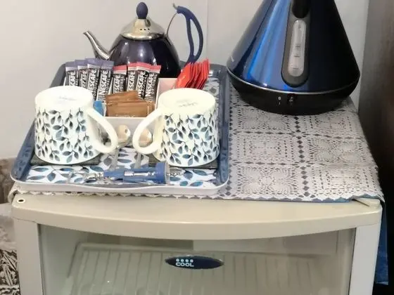 Tek Büyük Yataklı Oda, Banyolu/Duşlu (Blue Room)