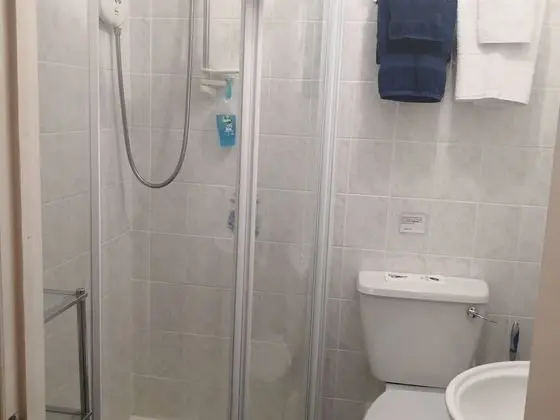 Tek Büyük Yataklı Oda, Banyolu/Duşlu (Blue Room)