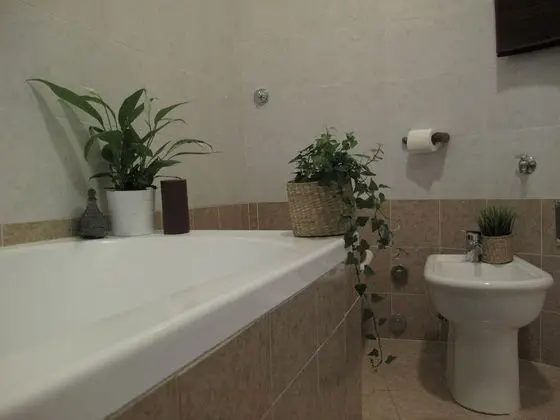 Superior Dört Kişilik Oda, 1 Yatak Odası, Balkon