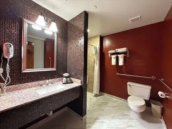 Engellilere uygun banyo