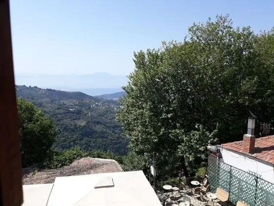 Superior Tek Büyük Yataklı Oda, Şömine