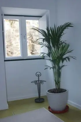 Apart Daire, 1 Yatak Odası (Santana)