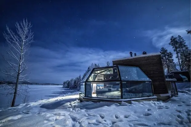 Arctic Fox Glass Igloo (Lake Side)