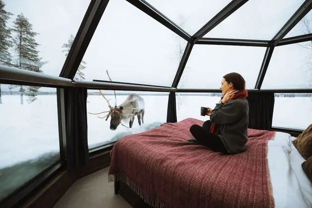 Arctic Fox Glass Igloo (Lake Side)