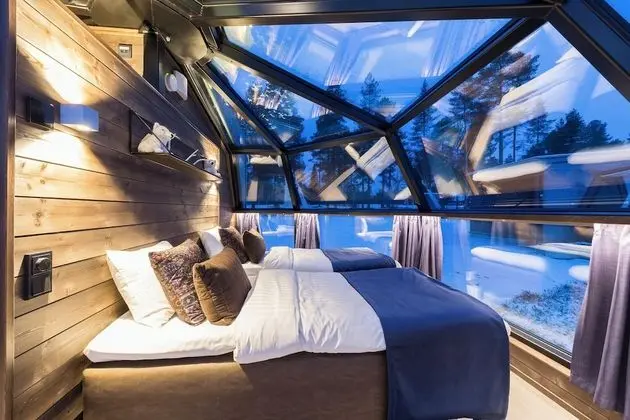 Arctic Fox Glass Igloo (Twin)