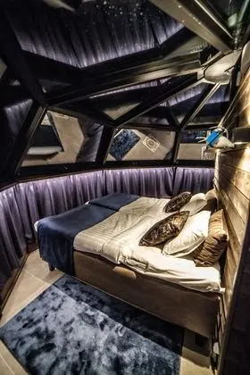 Arctic Fox Glass Igloo (Twin)