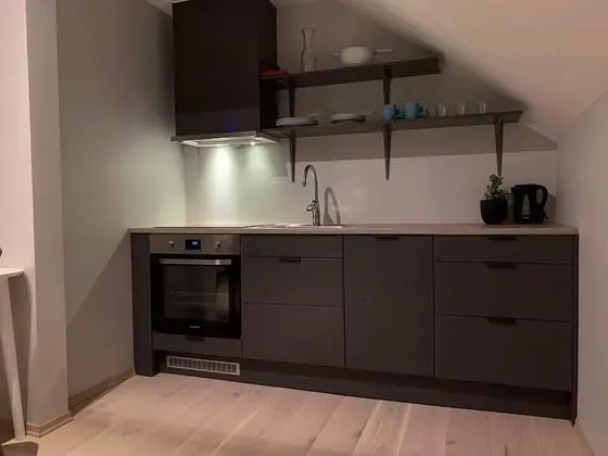 Apart Daire, 1 Yatak Odası
